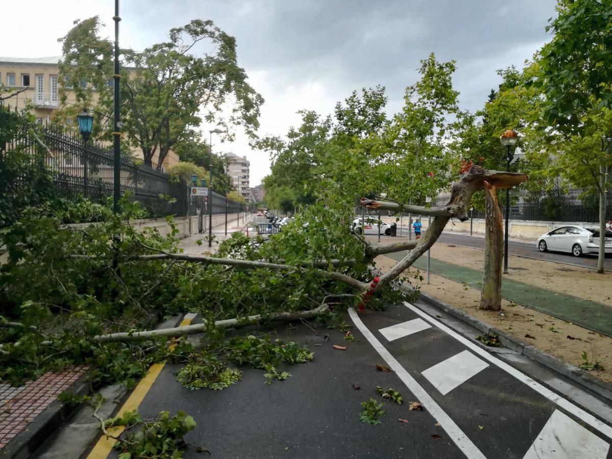 Consecuencias de la tormenta en Zaragoza