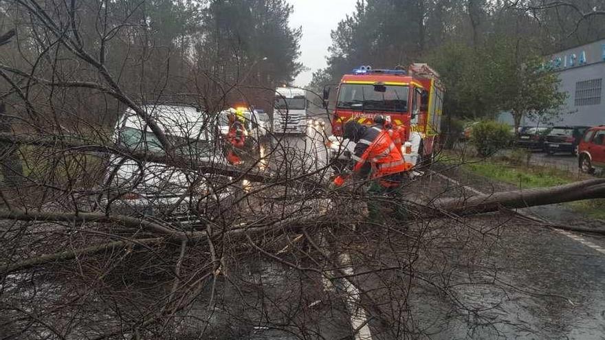 Emerxencias, cortando un árbol que se desplomó sobre un coche en Toedo el pasado mes de marzo.