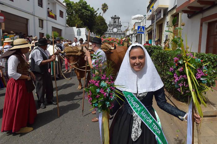 Carretas y grupos en la romería del Pino