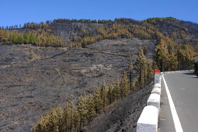 Consecuencias del incendio: De Valleseco a Artenar