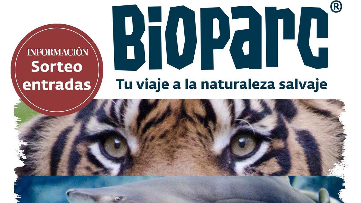 Sorteo entradas Bioparc