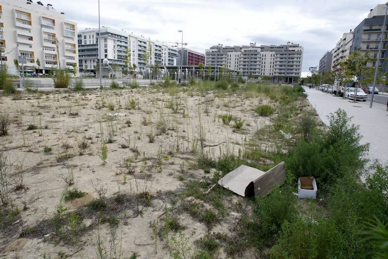 Fotogalería: Abandono de zonas verdes en Parque Venecia