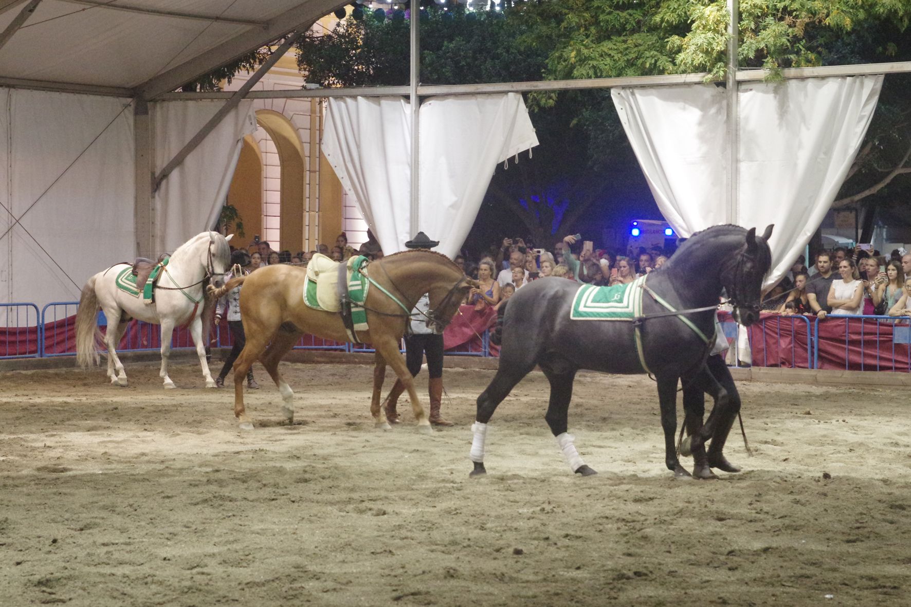 Exhibición ecuestre en el Real de la Feria de Málaga 2022