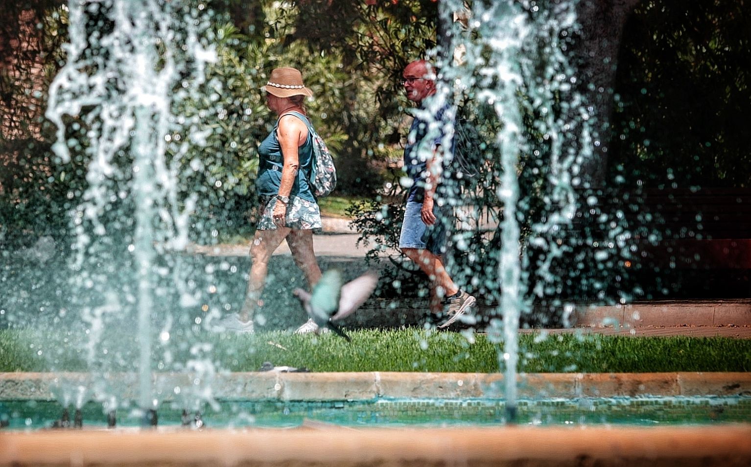 Ola de calor en Tenerife