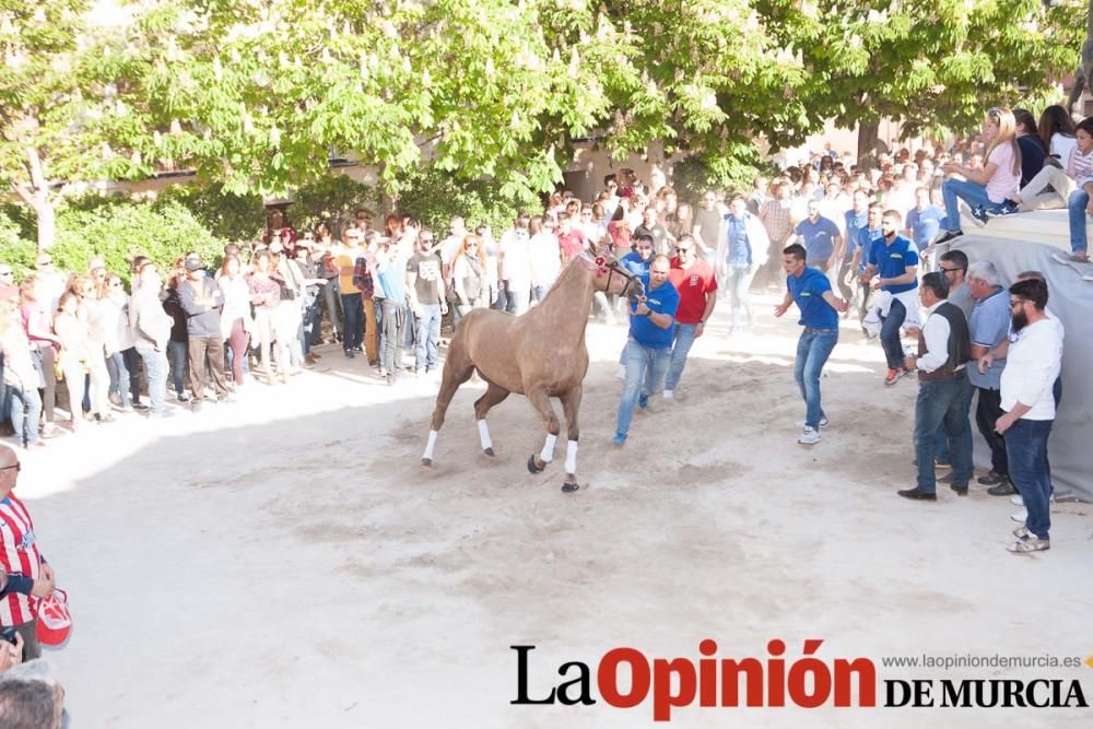 Día uno de mayo, entrada de caballos al Hoyo