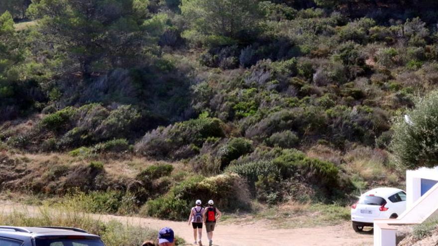 Pla mig de la zona on la IAEDEN denuncia que l&#039;Ajuntament de Llançà vol construir 40 habitatges aquest dijous 23 d&#039;agost de 2018