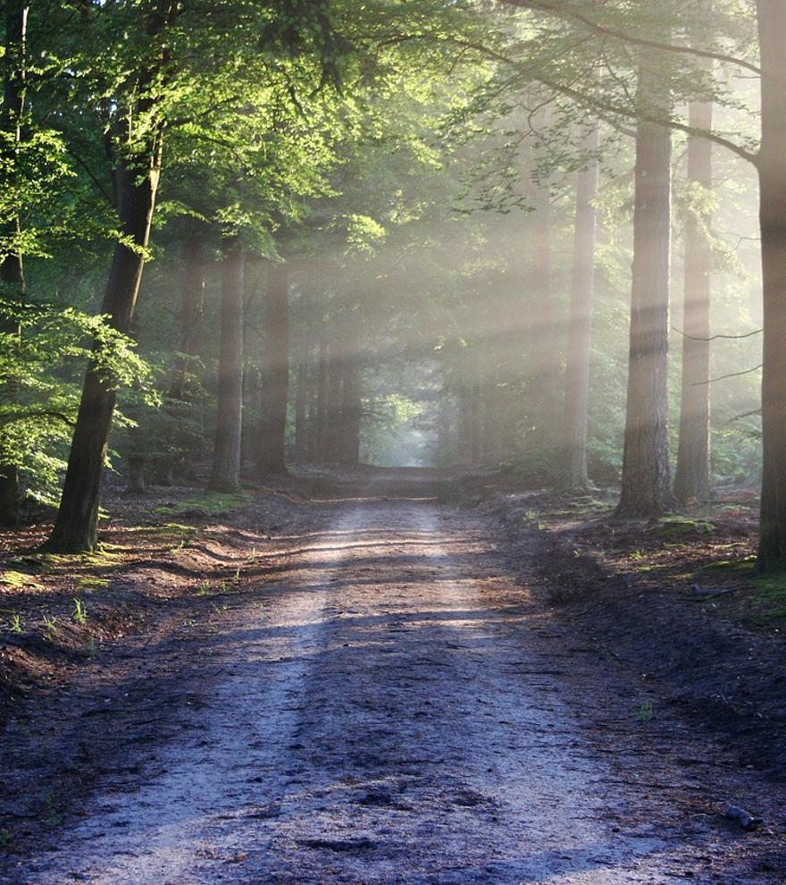 El contacto con la naturaleza cambia nuestra percepción del tiempo