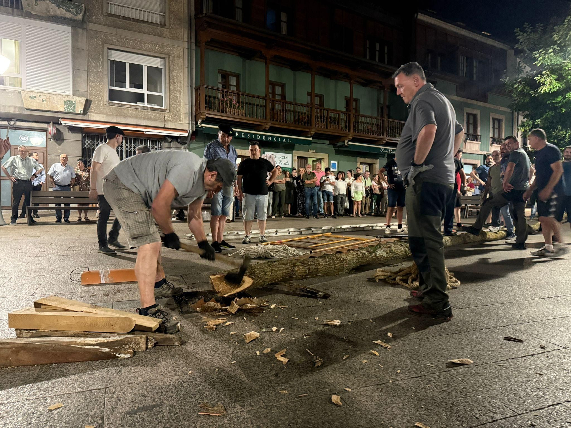 Así fue la plantación del roble de los 'casaos' en Pola