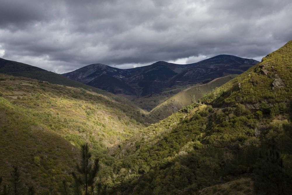 Desolación en el suroccidente asturiano tras los incendios