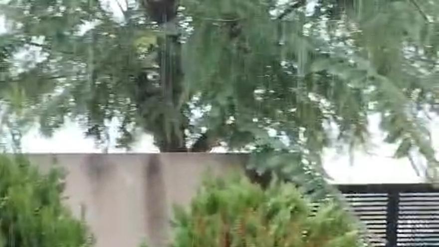 Granizada en Molina de Segura
