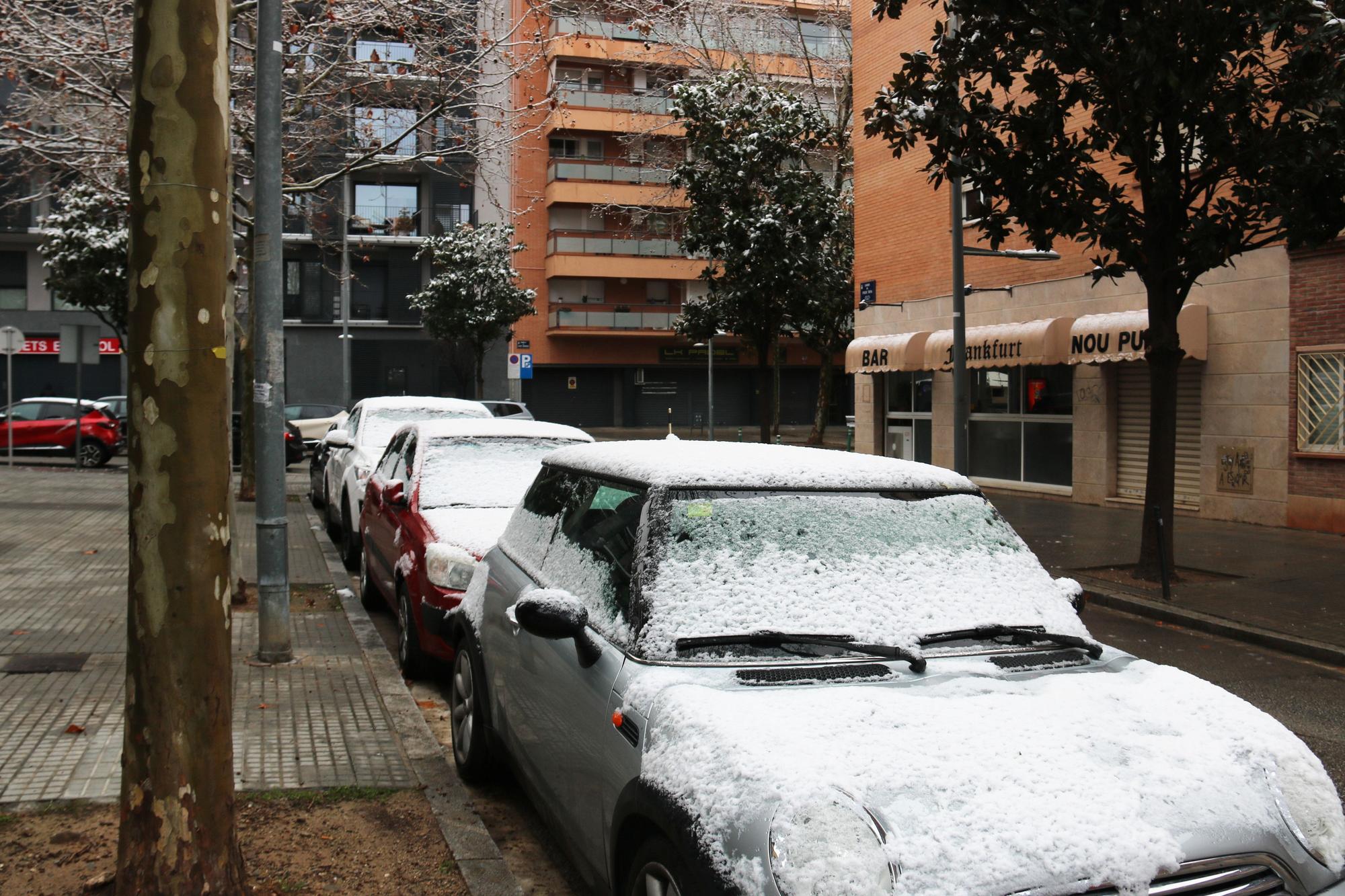 La neu enfarina Barcelona