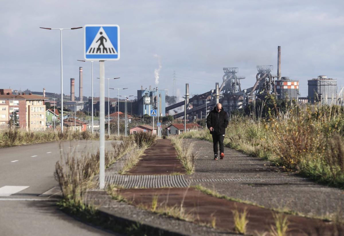 Terrenos de la Zalia, con la factoría de ArcelorMittal en Gijón al fondo.   | PABLO SOLARES