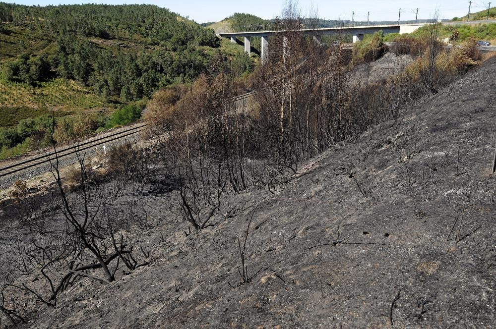 Incendios en Galicia | El fuego se reaviva en Nava