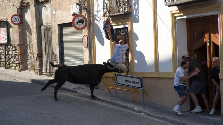 Un hombre recibiendo las envestidas de una de las vacas rezagadas