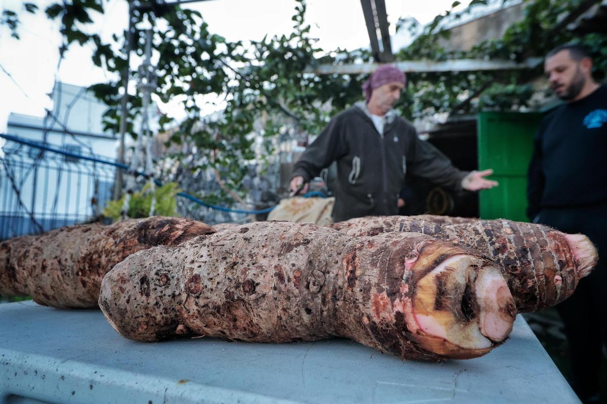 Guisado de ñames en Garachico