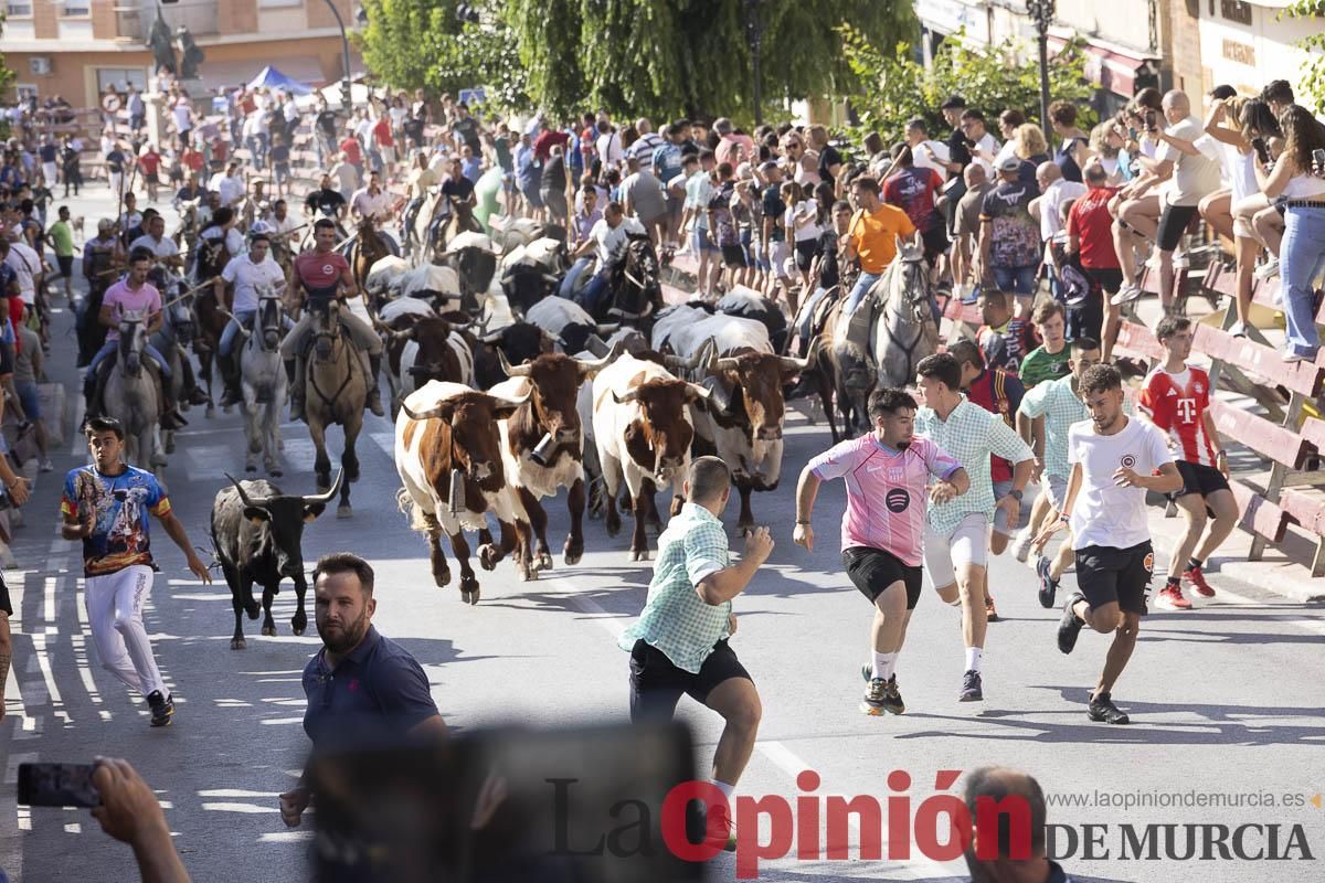 Séptimo encierro de las Fiestas de Moratalla