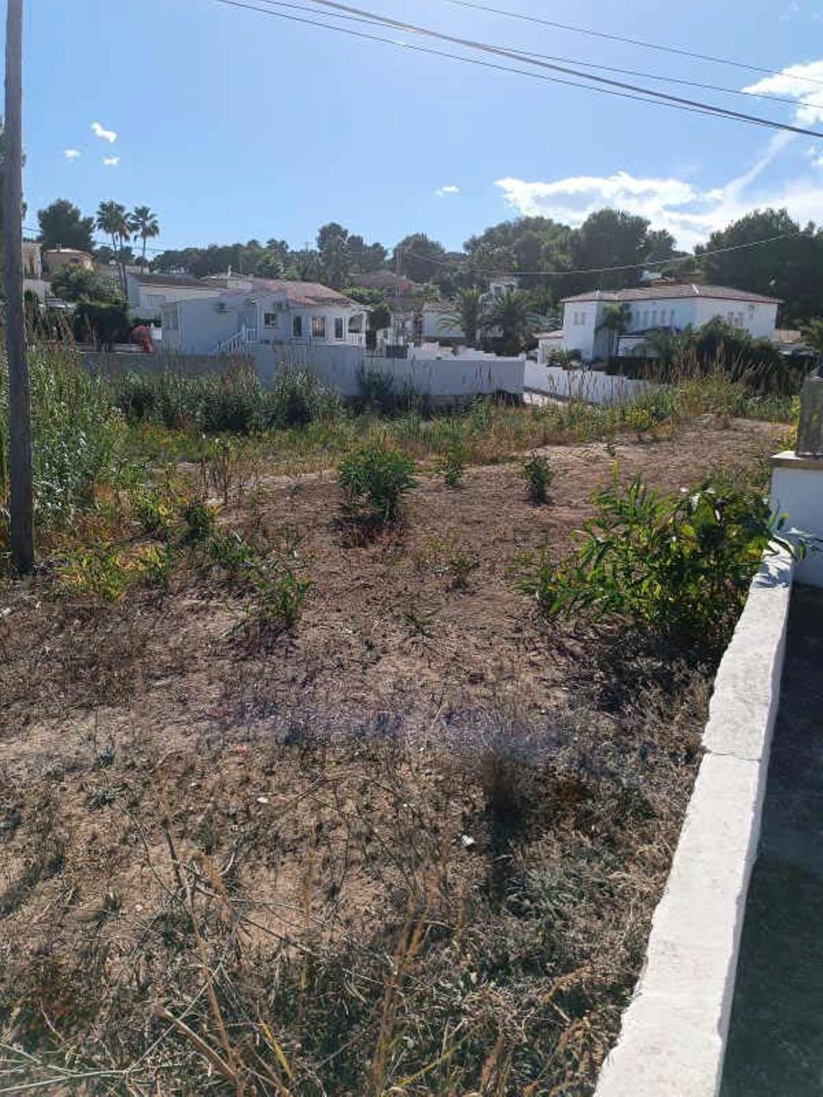 Terreno en Alicante