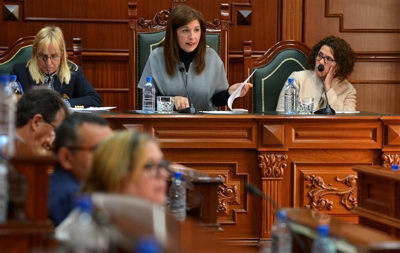 Pleno del Ayuntamiento de Telde