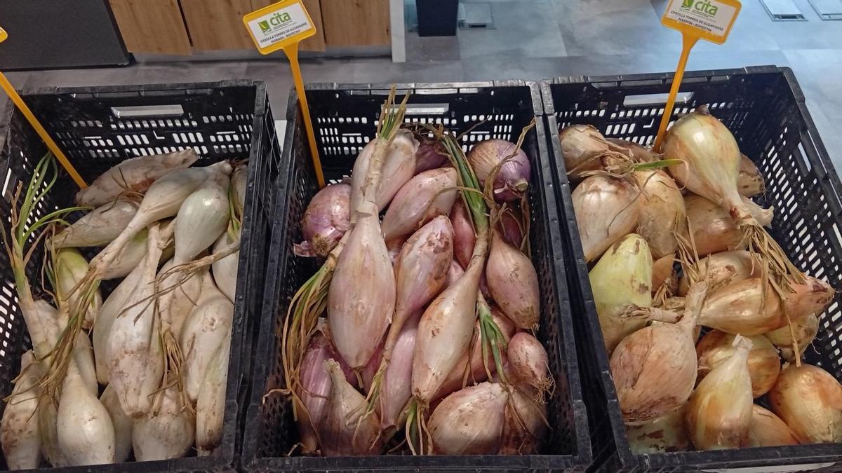 Varias cajas con cebollones de Torres.