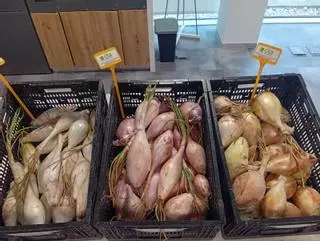 Patrimonio gastronómico: el Somontano se vuelca en una jornada de promoción del cebollón de Torres
