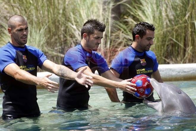 Los jugadores del Barça se divirtieron con los delfines