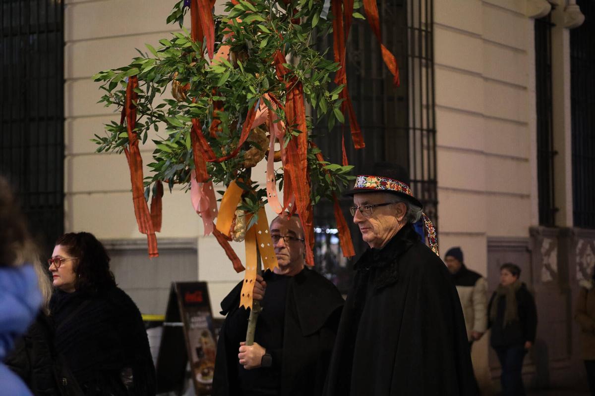 GALERÍA | Desfile de ramos de Navidad en el centro de Zamora