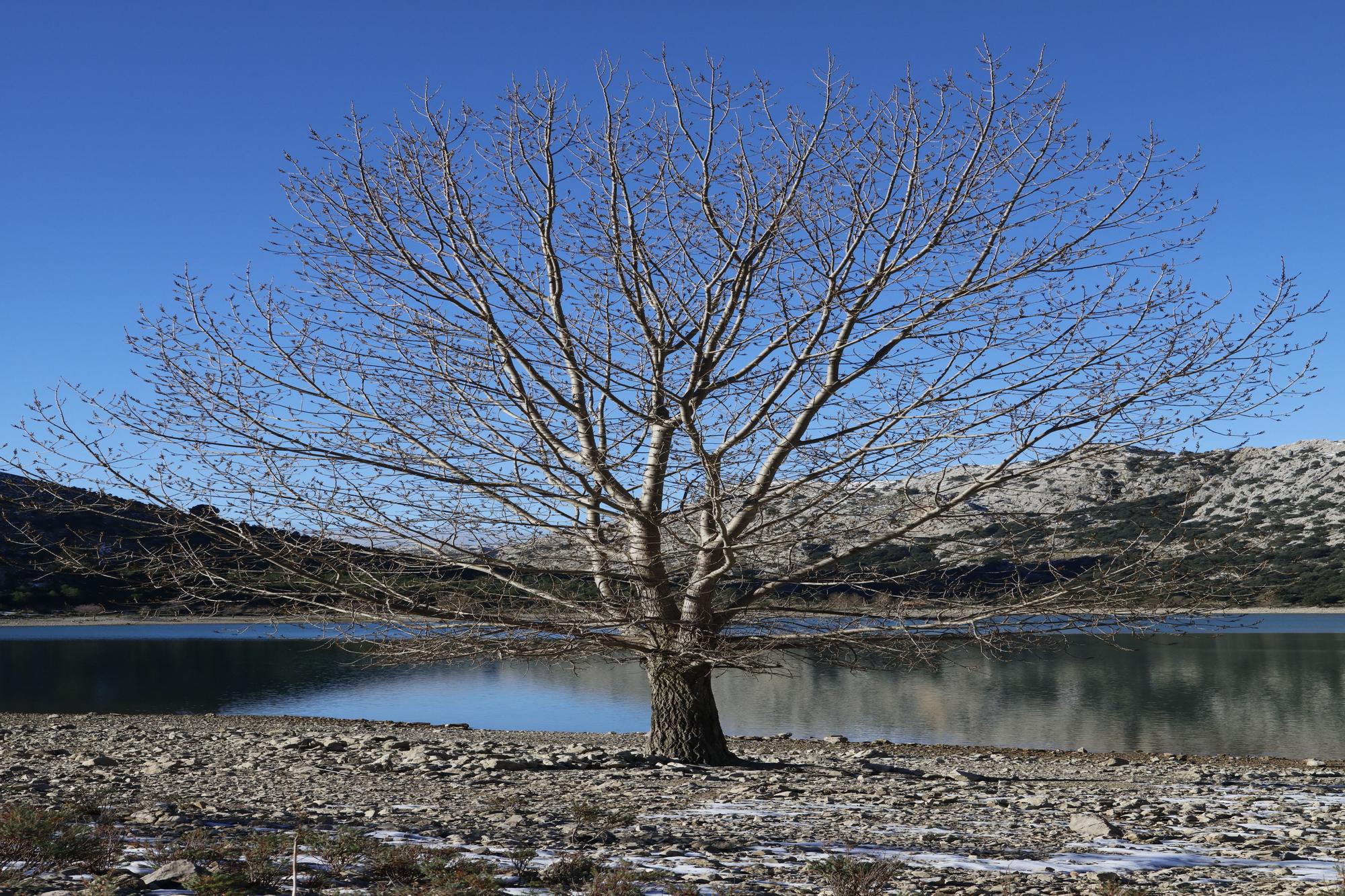 Schnee in der Tramuntana - Wanderung am Stausee Cúber auf Mallorca