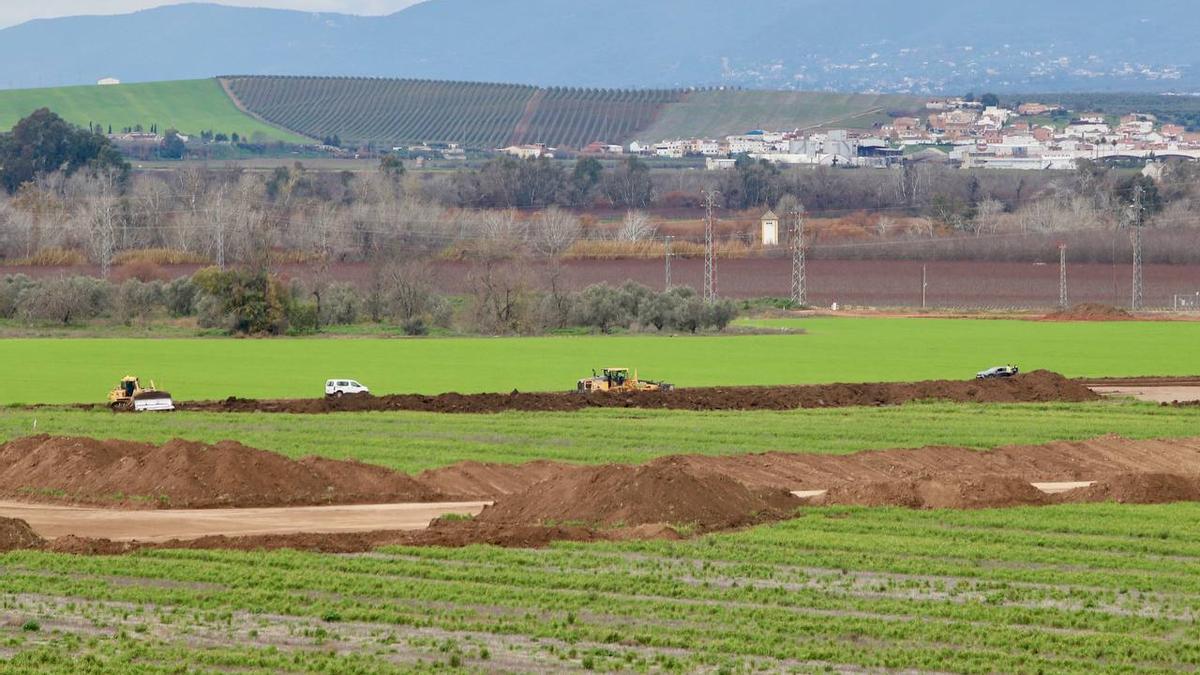 Las máquinas trabajan sobre los terrenos de La Rinconada en las primeras labores que Defensa aplica para levantar la Base.