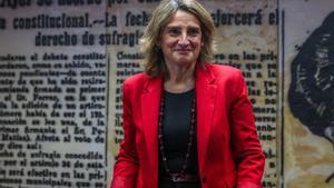 Archivo - La vicepresidenta tercera y ministra para la Transición Ecológica y el Reto Demográfico, Teresa Ribera, llega a la Comisión de Transición Ecológica, en el Senado, a 30 de abril de 2024, en Madrid (España). Durante su comparecencia, la ministra h