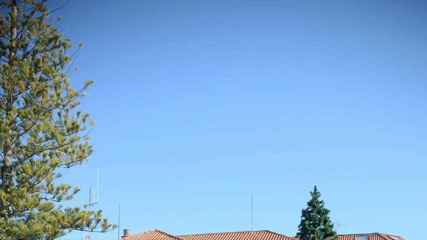 El árbol del Concello, ayer al mediodía. // Noé Parga