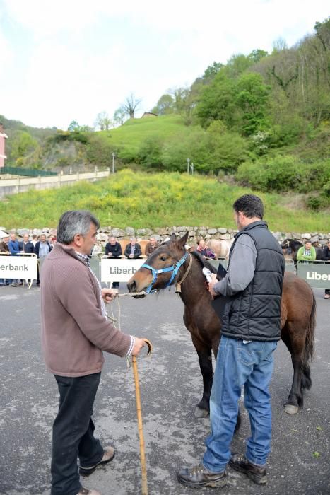 Feria del caballo de Riosa