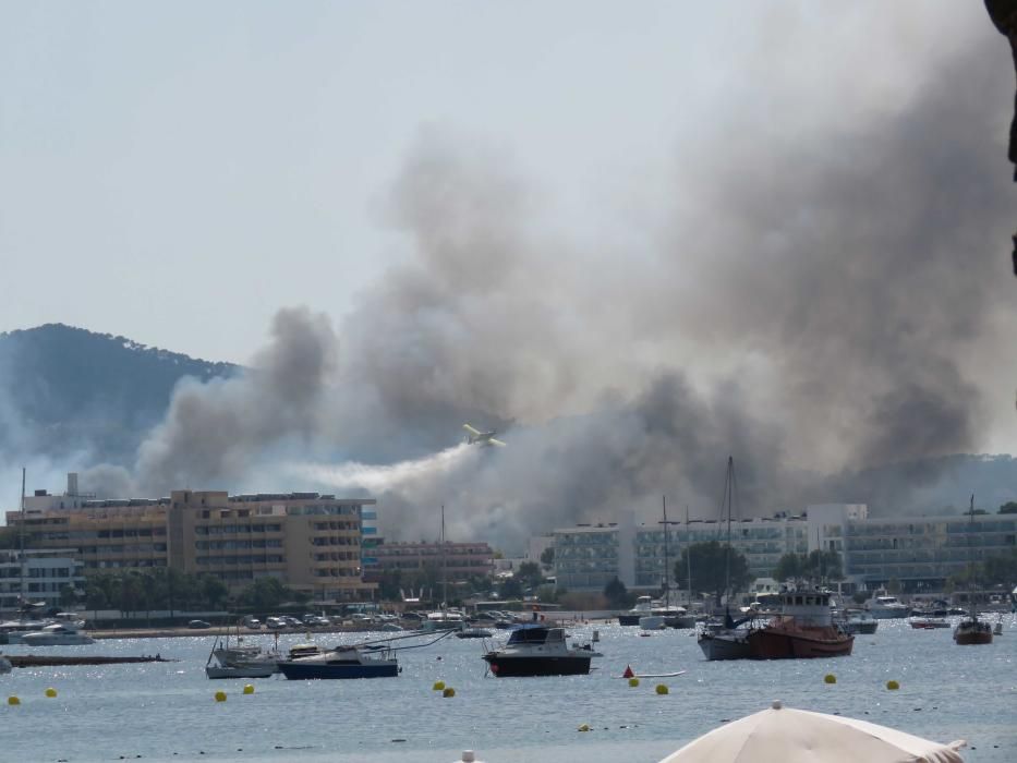 Evacuadas tres viviendas por un incendio agrícola en Cala de Bou