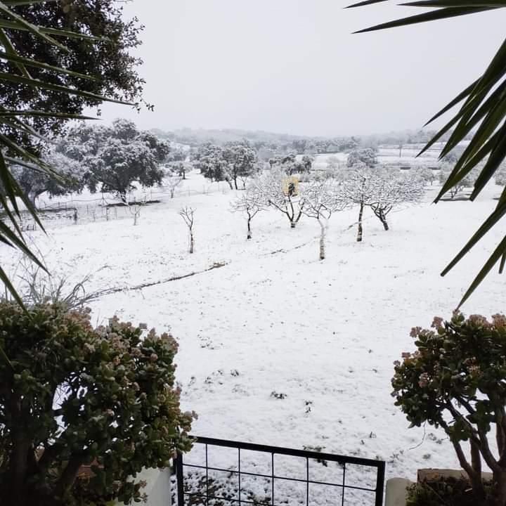 Blanca Extremadura