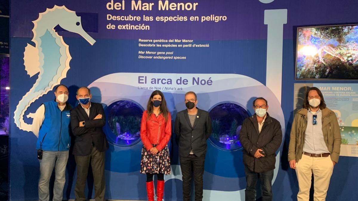 El Oceanogràfic de Valencia hace hueco al Mar Menor