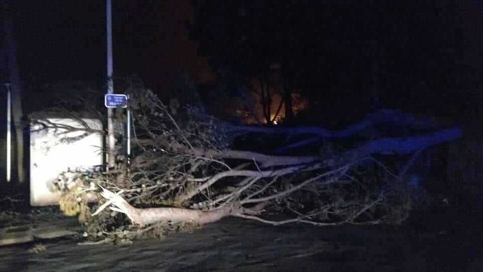 Viviendas afectadas por el fuego en Marxuquera.