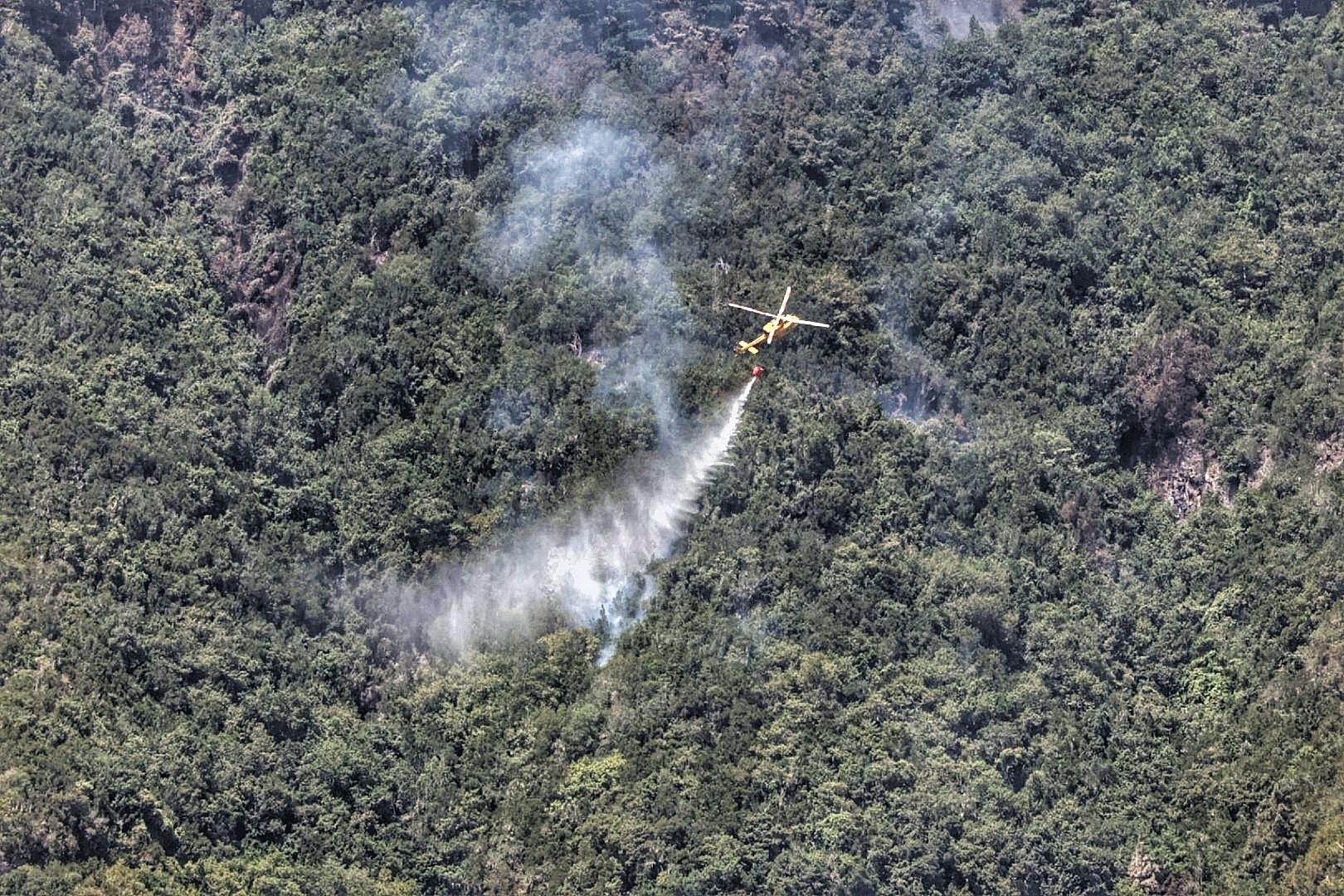 Siguen las tareas de extinción del incendio de Tenerife