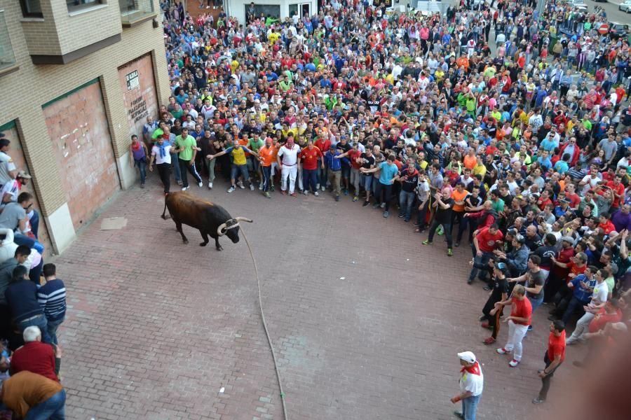 Carrera del Enmaromado 2016