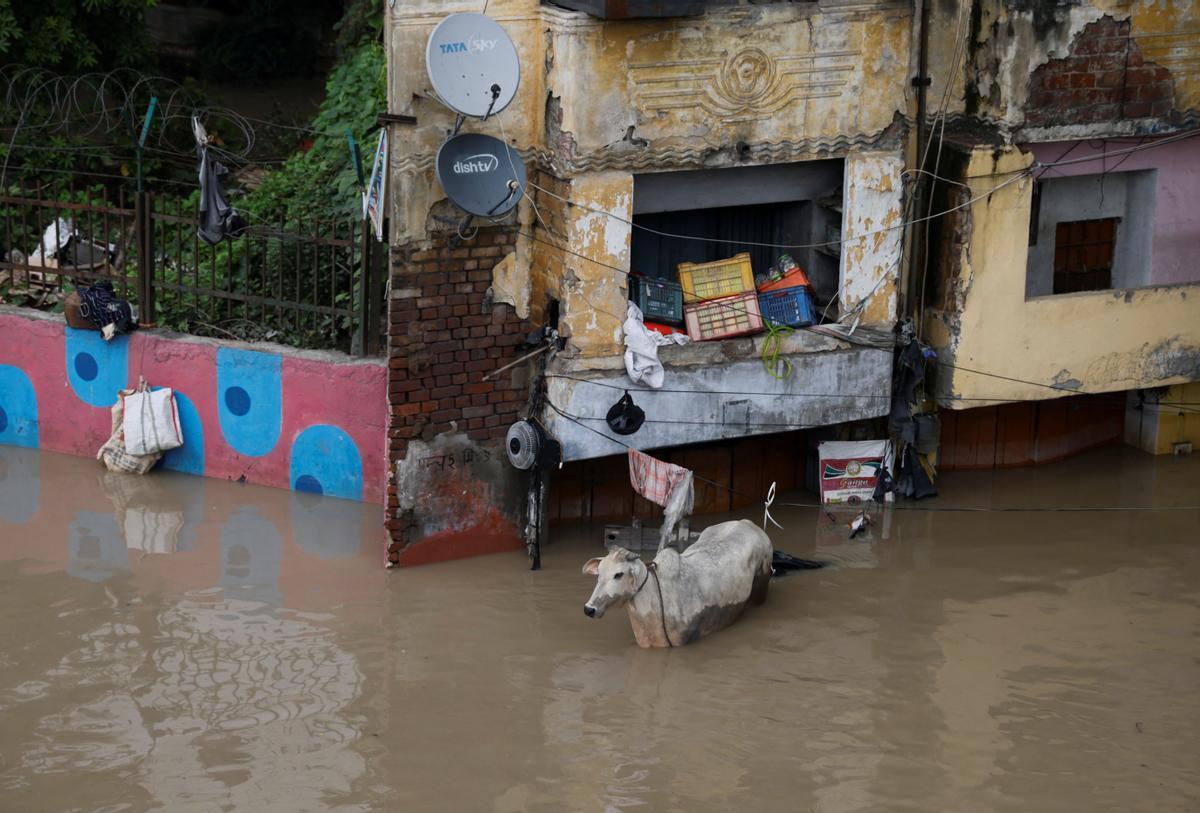 El río Yamuna se ha desbordado debido a las lluvias monzónicas en Nueva Delhi.