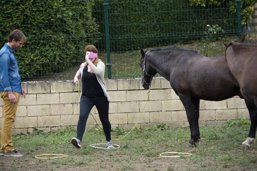 'Coaching' con caballos para empresarios