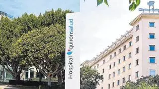 VIDA SANA ENERO 2026