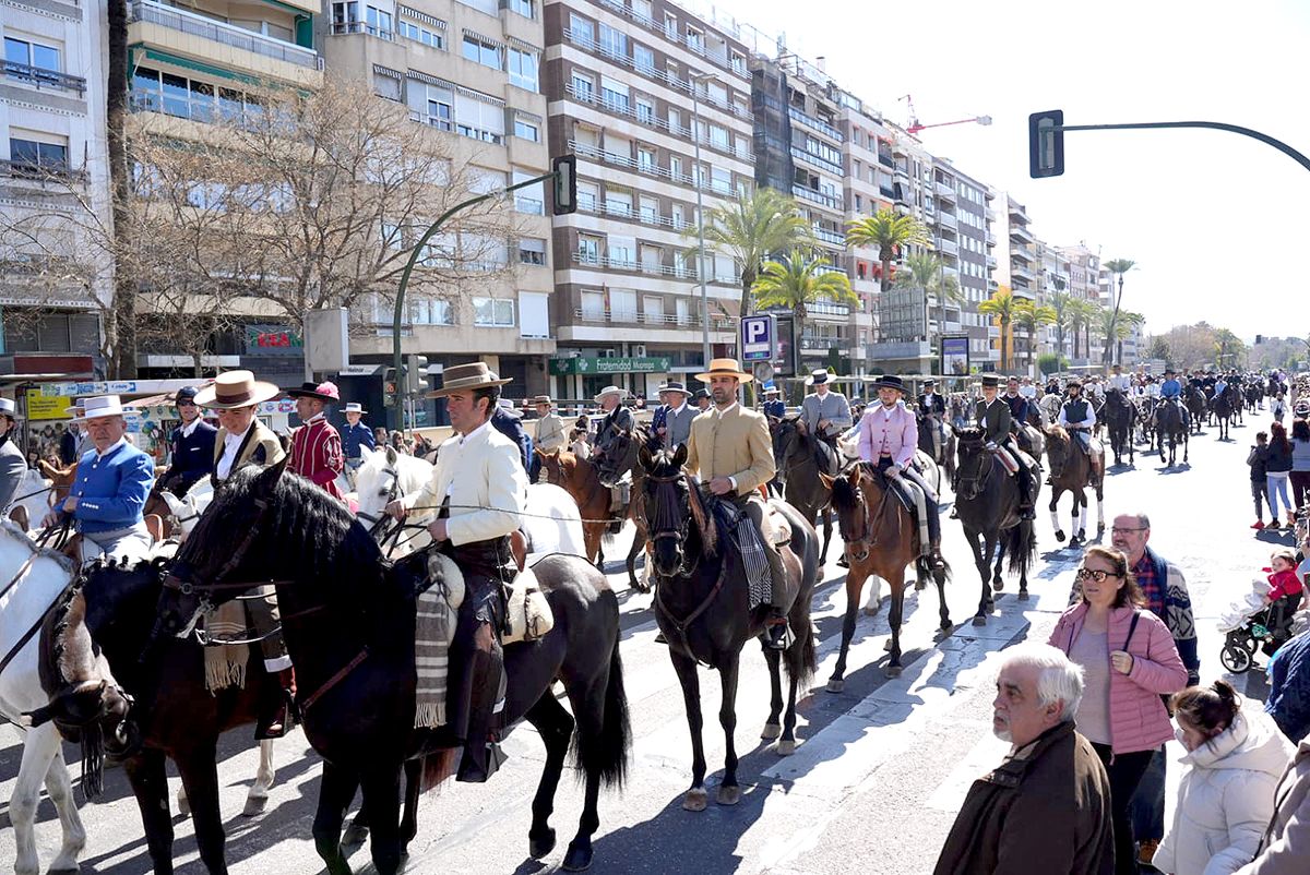 los caballos reinan en Córdoba el 28F