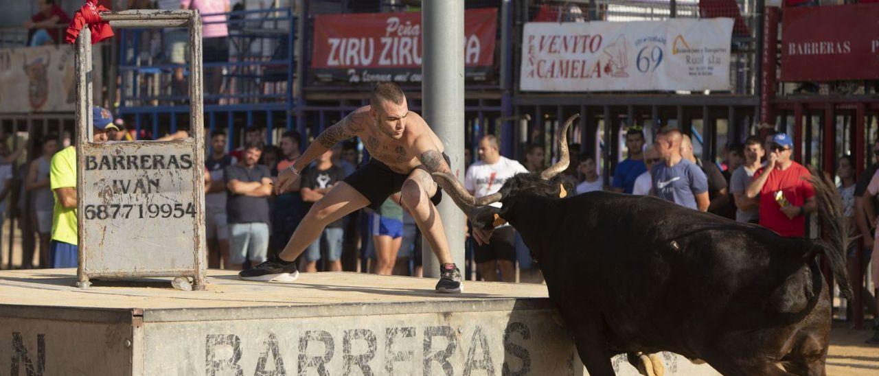 Festejo de «bous» en un recinto taurino celebrado este verano en una localidad del Camp de Morvedre.