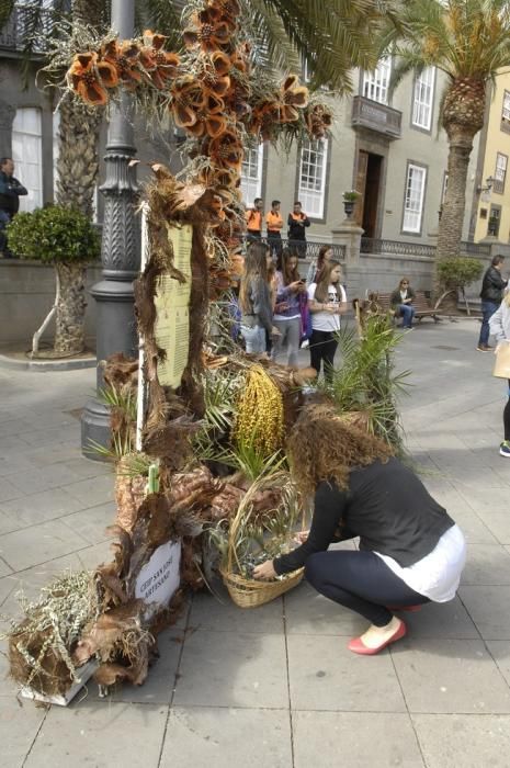 CONCURSO DE CRUCES DE MAYO