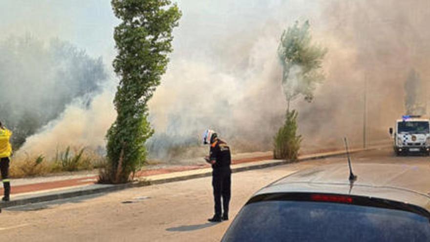 Cremen 2.800 m2 de matolls d&#039;una zona verda a prop de Blanes