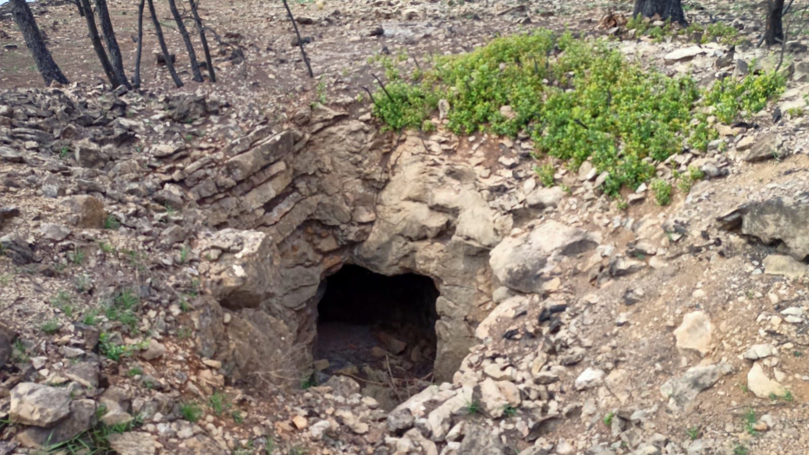 Las construcciones bélicas que ha encontrado Torás a raíz del incendio de Bejís