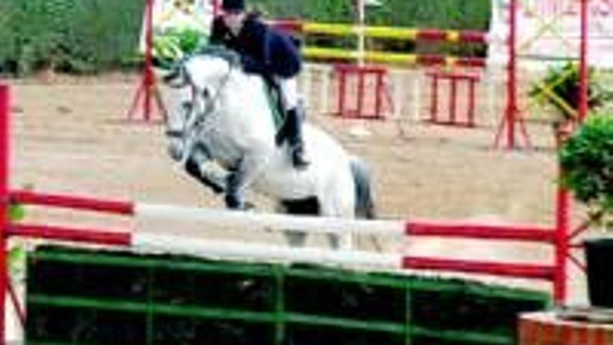 Pruebas finales del concurso nacional de saltos en el recinto hipico de caceres