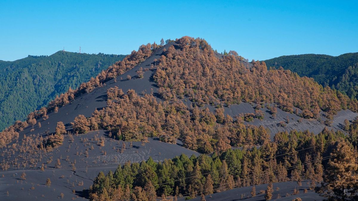 Efectos de la erupción del Cumbre Vieja.