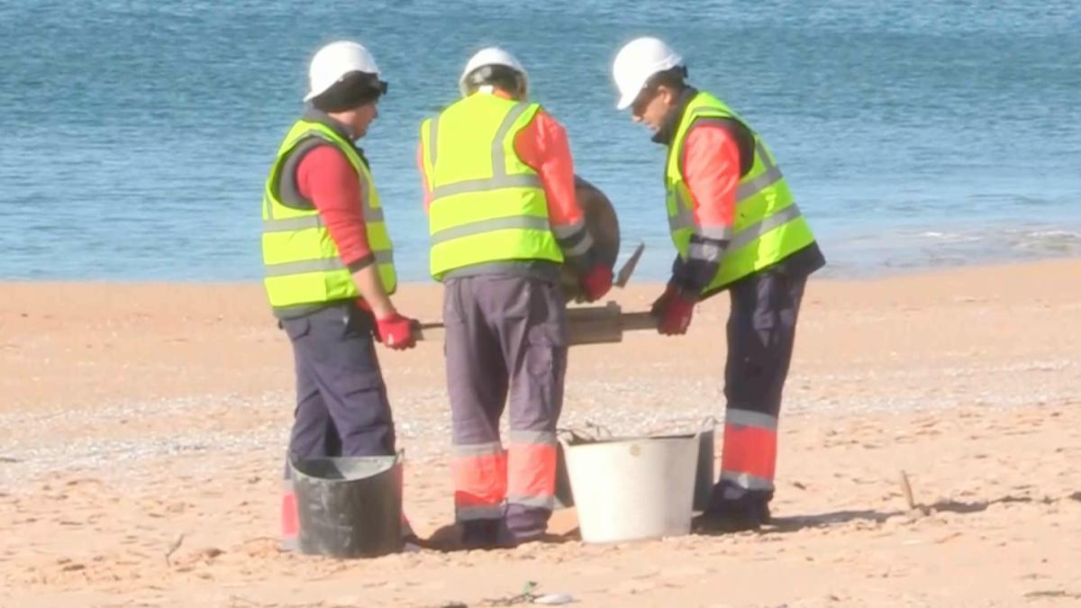 Operarios y voluntarios limpian la playa de Vilar, en el parque natural de Corrubedo, Galicia