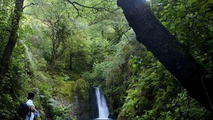 Una cascada en El Escañorio.