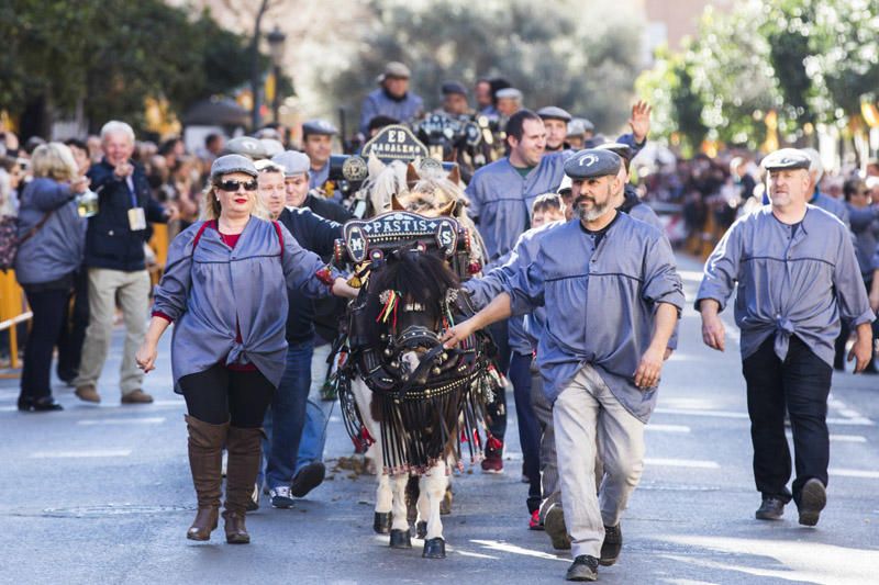 Bendición de animales por Sant Antoni del Porquet